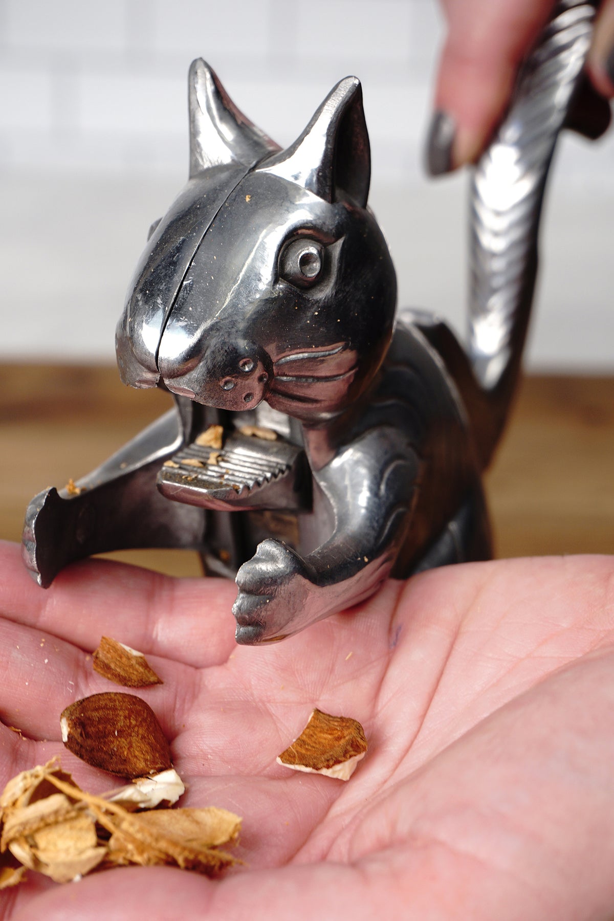 Pulverizing Squirrel Nut Grinders : squirrel nut grinder